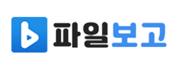 파일보고